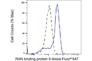 Validation of RAN binding protein 9 knockdown using flow cytometry. (Recombinant Importin 9 抗体)