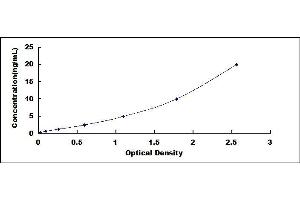 Typical standard curve (GLRa2 ELISA 试剂盒)