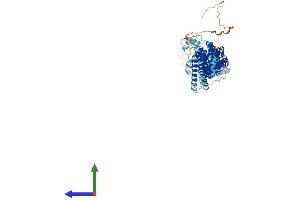 Protein Structure (PS) image for Component of Oligomeric Golgi Complex 8 (COG8) (AA 1-612) protein (His tag) (ABIN7546667)