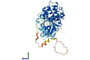 Protein Structure (PS) image for V-Akt Murine Thymoma Viral Oncogene Homolog 2 (AKT2) (AA 1-481) protein (His tag) (ABIN7551966)