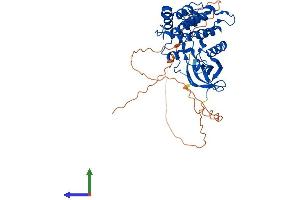 Protein Structure (PS) image for Casein Kinase 1, gamma 3 (CSNK1G3) (AA 1-447) protein (His tag) (ABIN7548639)