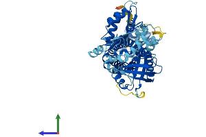 Protein Structure (PS) image for NADPH Oxidase 3 (NOX3) (AA 1-568) protein (His tag) (ABIN7549897)