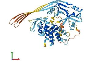 AlphaFold protein structure predicition of Mouse Recombinant Gsdmd Protein, UniprotID Q9D8T2