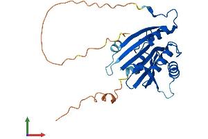 AlphaFold protein structure predicition of Mouse Recombinant Eif4e2 Protein, UniprotID Q8BMB3