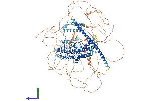 AlphaFold protein structure predicition of Mouse Recombinant Kank4 Protein, UniprotID Q6P9J5