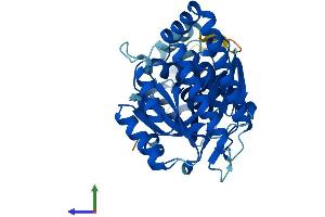 Protein Structure (PS) image for Mevalonate Kinase (MVK) (AA 1-396) protein (His tag) (ABIN7548816)