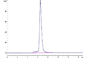 Size-exclusion chromatography-High Pressure Liquid Chromatography (SEC-HPLC) image for Poliovirus Receptor-Related 4 (PVRL4) (AA 32-349) protein (Fc Tag) (ABIN7275306)
