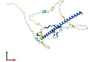 Protein Structure (PS) image for Thyrotrophic Embryonic Factor (TEF) (AA 1-301) protein (His tag) (ABIN7561672)
