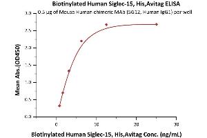 Immobilized Mouse Human chimeric MAb (5G12, Human IgG1) at 5 μg/mL (100 μL/well) can bind Biotinylated Human Siglec-15, His,Avitag (recommended for biopanning) (ABIN6938941,ABIN6951006) with a linear range of 0. (SIGLEC15 Protein (AA 20-263) (His tag,AVI tag,Biotin))