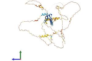 AlphaFold protein structure predicition of Mouse Recombinant Irx4 Protein, UniprotID Q9QY61