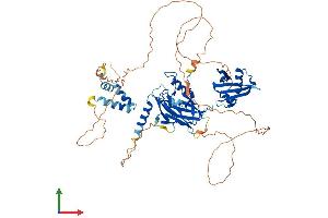 Protein Structure (PS) image for Grainyhead-Like 2 (GRHL2) (AA 1-625) protein (His tag) (ABIN7564681)