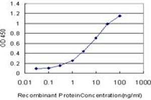 Detection limit for recombinant GST tagged POLR1C is approximately 0.