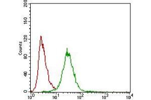 Flow cytometric analysis of Hela cells using ZEB1 mouse mAb (green) and negative control (red). (ZEB1 抗体  (AA 967-1108))