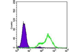 Flow cytometric analysis of LOVO cells using FABP2 mouse mAb (green) and negative control (purple). (FABP2 抗体)