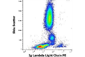Flow cytometry surface staining pattern of human peripheral whole blood stained using anti-human Ig Lambda Light Chain (1-155-2) PE antibody (10 μL reagent / 100 μL of peripheral whole blood). (Lambda-IgLC 抗体  (PE))