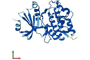 Protein Structure (PS) image for Testis-Specific Serine Kinase 6 (TSSK6) (AA 1-273) protein (His tag) (ABIN7560282)