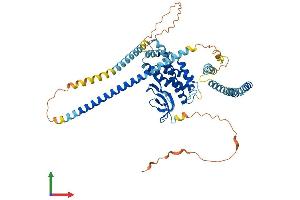 Protein Structure (PS) image for Spermatogenesis Associated 18 (SPATA18) (AA 1-538) protein (His tag) (ABIN7554579)