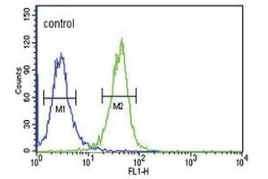 Flow Cytometry (FACS) image for anti-DnaJ (Hsp40) Homolog, Subfamily C, Member 6 (DNAJC6) antibody (ABIN3004410) (DNAJC6 抗体)