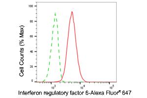 anti-Interferon Regulatory Factor 6 (IRF6) antibody