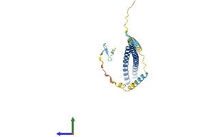 AlphaFold protein structure predicition of Human Recombinant CHMP5 Protein, UniprotID Q9NZZ3