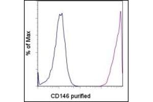 Flow Cytometry (FACS) image for anti-Melanoma Cell Adhesion Molecule (MCAM) antibody (ABIN614548) (MCAM 抗体)