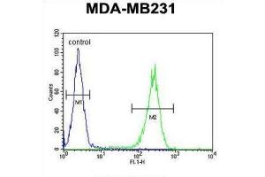Flow Cytometry (FACS) image for anti-RAB11 Family Interacting Protein 2 (Class I) (RAB11FIP2) antibody (ABIN3002357)