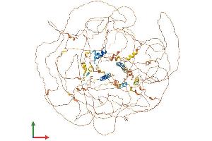 Protein Structure (PS) image for B-Cell CLL/lymphoma 9-Like (BCL9L) (AA 1-1499) protein (His tag) (ABIN7552664)