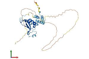 Protein Structure (PS) image for Protein Quaking (QKI) (AA 1-341) protein (His tag) (ABIN7551168)