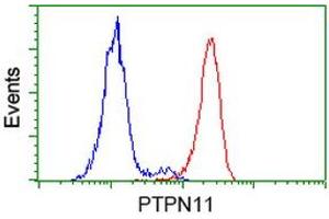 Flow cytometric Analysis of Hela cells, using anti-PTPN11 antibody (ABIN2453870), (Red), compared to a nonspecific negative control antibody, (Blue). (PTPN11 抗体)