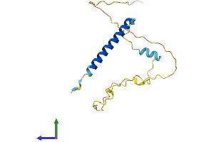 Protein Structure (PS) image for Transcription Elongation Factor A (SII)-Like 1 (TCEAL1) (AA 1-165) protein (His tag) (ABIN7560200)
