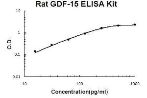 Rat GDF-15 PicoKine ELISA Kit standard curve (GDF15 ELISA 试剂盒)