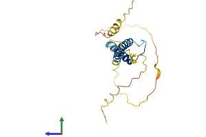 Protein Structure (PS) image for Transcription Factor 21 (TCF21) (AA 1-179) protein (His tag) (ABIN7544362)