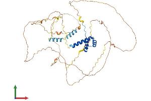Protein Structure (PS) image for Homeobox even-skipped homolog protein 2 (EVX2) (AA 1-476) protein (His tag) (ABIN7547537)