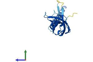 Protein Structure (PS) image for Signal Peptidase Complex Subunit 3 Homolog (SPCS3) (AA 1-180) protein (His tag) (ABIN7546341)