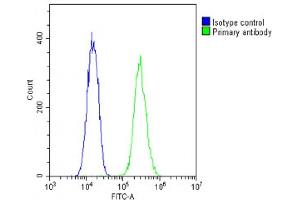 Overlay histogram showing C2C12 cells stained with (ABIN6243913 and ABIN6577986)(green line).