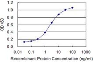 Detection limit for recombinant GST tagged CLGN is 0. (Calmegin 抗体  (AA 21-120))