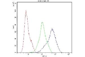 Flow Cytometry analysis of A549 cells using anti-Dynamin 1 antibody (ABIN5692848). (Dynamin 1 抗体  (AA 616-667))