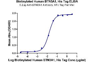 Butyrophilin, Subfamily 3, Member A1 (BTN3A1) (AA 30-254) protein (His-Avi Tag,Biotin)