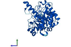 Protein Structure (PS) image for Glycerophosphodiester Phosphodiesterase 1 (GDE1) (AA 1-331) protein (His tag) (ABIN7561666)