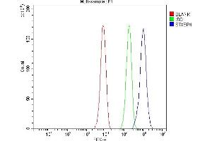 Flow Cytometry analysis of HepG2 cells using anti-Synip/STXBP4 antibody (ABIN7602066). (STXBP4 抗体  (AA 57-481))