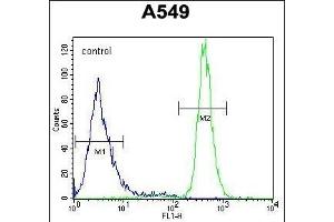 WFDC12 Antibody (C-term) (ABIN654327 and ABIN2844104) flow cytometric analysis of A549 cells (right histogram) compared to a negative control cell (left histogram). (WFDC12 抗体  (C-Term))