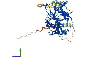 AlphaFold protein structure predicition of Mouse Recombinant B4galt3 Protein, UniprotID Q91YY2