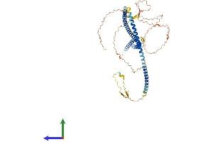 Protein Structure (PS) image for Premature Ovarian Failure, 1B (POF1B) (AA 1-589) protein (His tag) (ABIN7550907)