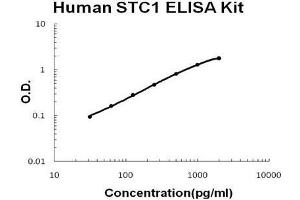 Human Stanniocalcin 1/STC1 PicoKine ELISA Kit standard curve (Stanniocalcin 1 ELISA 试剂盒)