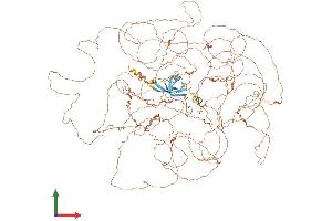 Protein Structure (PS) image for Periaxin (PRX) (AA 1-1461) protein (His tag) (ABIN7555069)