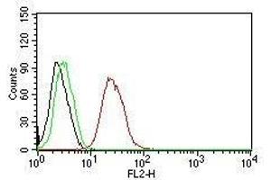 Flow Cytometry for human ER-beta on MCF-7 cells.