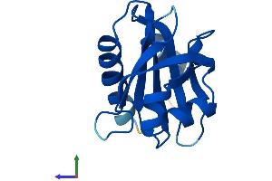 Protein Structure (PS) image for Profilin 3 (PFN3) (AA 1-137) protein (His tag) (ABIN7551060)