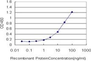 Detection limit for recombinant GST tagged GOLGA1 is approximately 0. (GOLGA1 抗体  (AA 668-767))