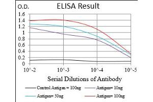 Black line: Control Antigen (100 ng), Purple line: Antigen(10 ng), Blue line: Antigen (50 ng), Red line: Antigen (100 ng), (WT1 抗体  (AA 314-479))