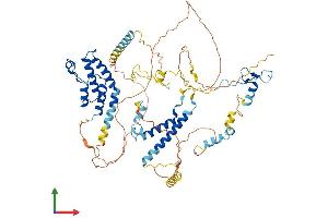 AlphaFold protein structure predicition of Human Recombinant BRD7 Protein, UniprotID Q9NPI1